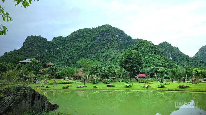 Hoa nở bên đời ảnh 1